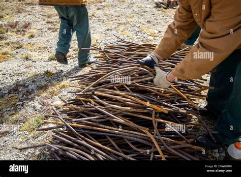 Buena Vista Correctional Facility inmates separate rebar from a ...