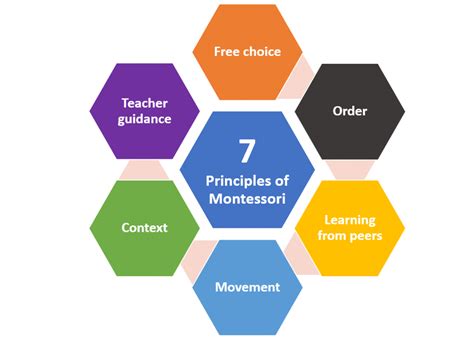 What is Montessori? Seven principles - The Montessori School of Mallorca