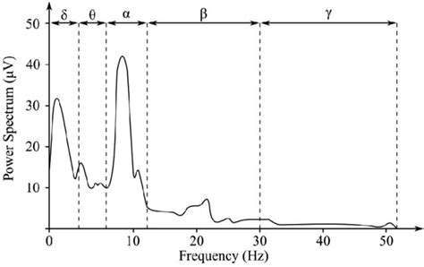 Frequency Bands of EEG Signal [4] | Download Scientific Diagram