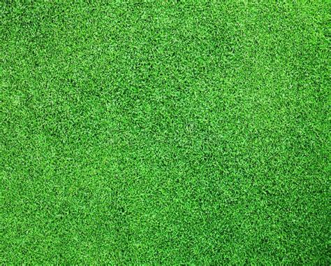 Golf Grass Texture