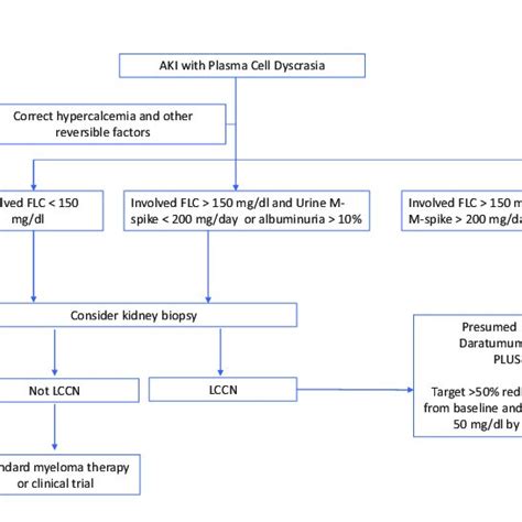 Treatment algorithm for newly diagnosed multiple myeloma patients with ...