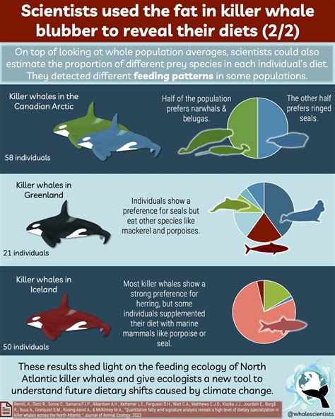 What do killer whales eat in the North Atlantic? Fat's the question!