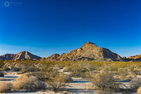 Death Valley to Mojave desert, June 2016. - Field Notes