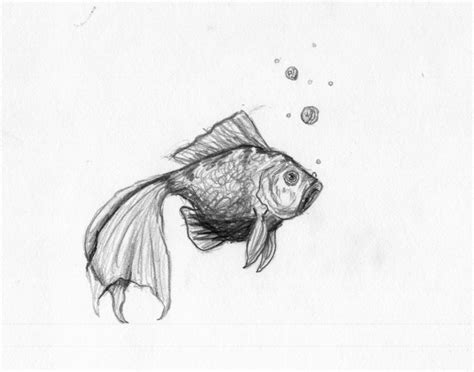 Pencil Sketches Of Animals at PaintingValley.com | Explore collection ...