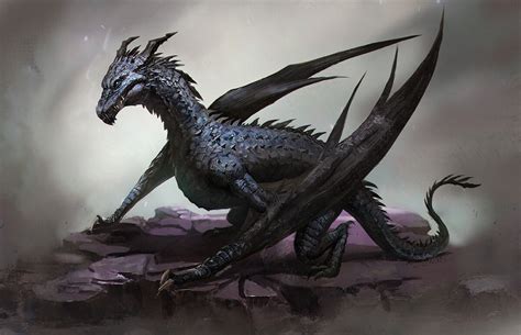 Black Dragon by Henrique Dld : r/ImaginaryDragons