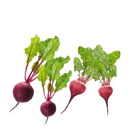 Beet Greens - Nutrition Facts & Health Properties | Veggies Info