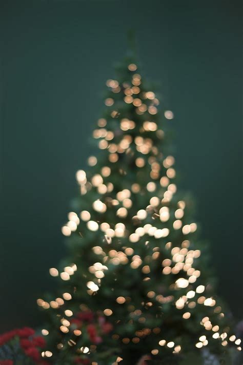 Christmas Tree Wallpapers - Top Free Christmas Tree Backgrounds ...