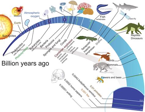 Is Evolution "just a theory"? - Our Planet