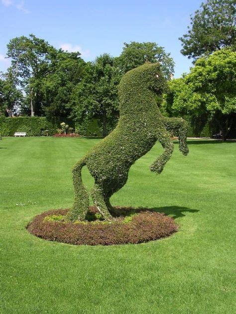 150 Topiary Art ideas in 2021 | topiary, topiary garden, garden art