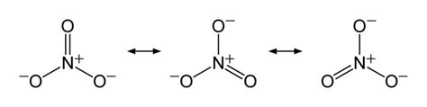 Difference Between Nitrate and Nitrite | Compare the Difference Between ...