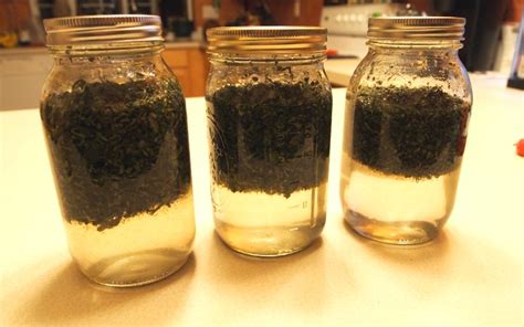 Make Your Own Cannabis Tincture - Natural Herbs