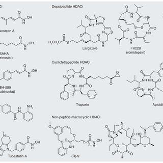 Various classes of histone deacetylase inhibitors | Download Scientific ...