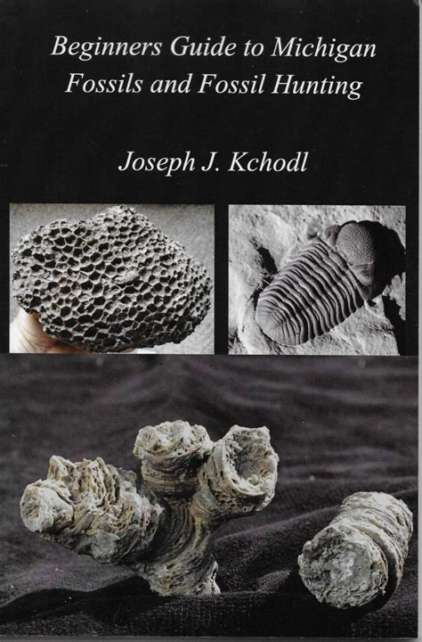 Guide to Michigan Fossils - Paleo Joe