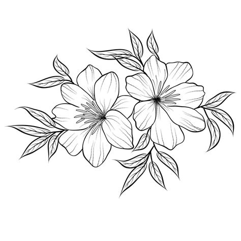 Hand Drawn Flowers Black And White | Best Flower Site