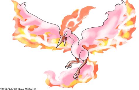 Shiny Moltres by Phatmon on DeviantArt