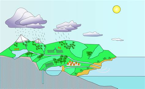 10+ Water Cycle Diagram To Label And Color PNG | Anatomy of Diagram