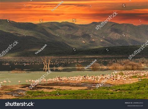 1,072 Lake Baringo Images, Stock Photos & Vectors | Shutterstock