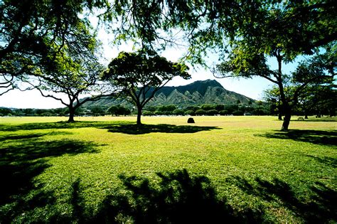 Queen Kapiolani Park Photograph by Kevin Smith