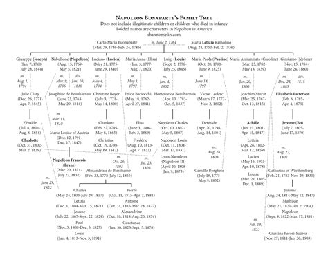 Napoleon Bonaparte's Family Tree | Family tree, Bonaparte, Napoleon