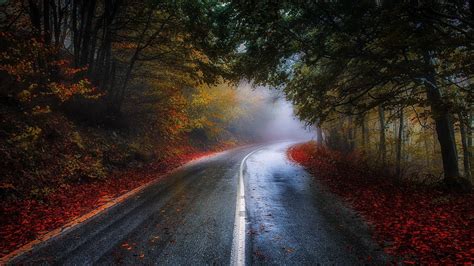 Autumn Road Route Forest Wallpapers - Wallpaper Cave