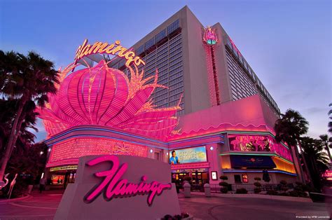 Hotel Flamingo Las Vegas - Great prices at HOTEL INFO