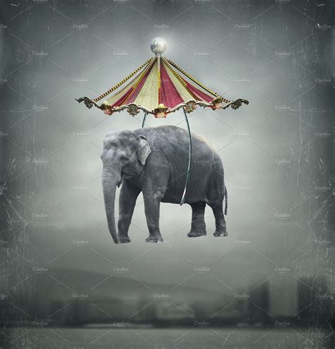 Circus elephant | Animal Stock Photos ~ Creative Market