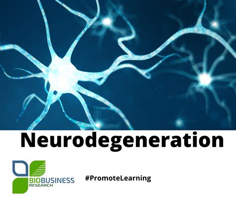 Neurodegeneration: the basics – NeuroStudy