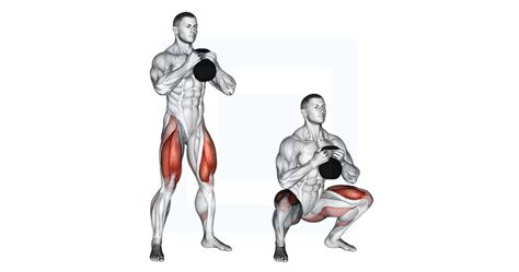 Seated Glute Stretch - Guide, Benefits, and Form