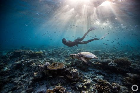 Breathtaking Underwater Photography, All Without Scuba Gear