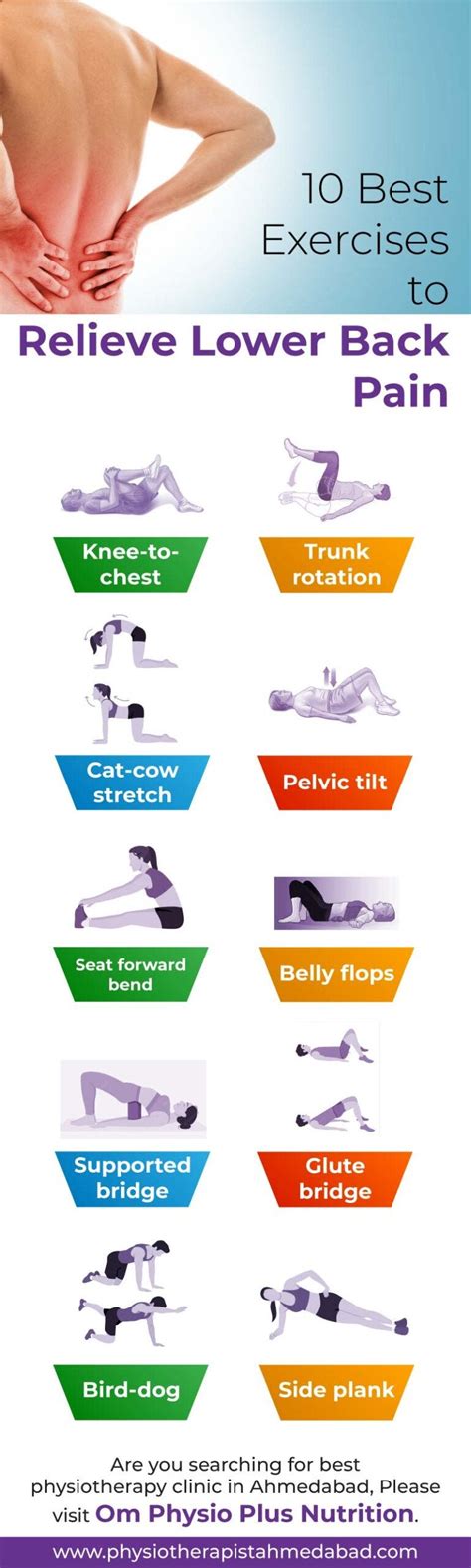 10 Best Exercises to Relieve Lower Back Pain | by Om Physio | Medium