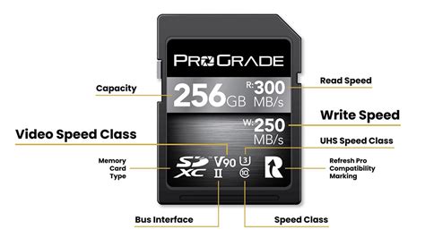 Choosing the Right Memory Card for Video Recording | ProGrade Digital