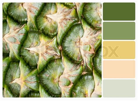 Pineapple.Color palette with ... | Stock image | Colourbox