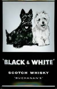 Whisky Black and White