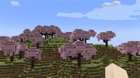 How to Find Cherry Blossom Biome in Minecraft - Twinfinite