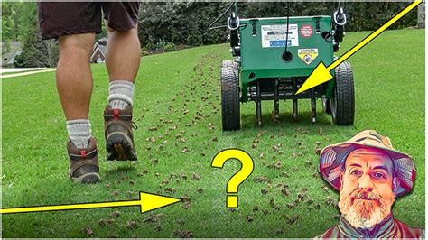 How to Aerate Your Lawn Lawn Care