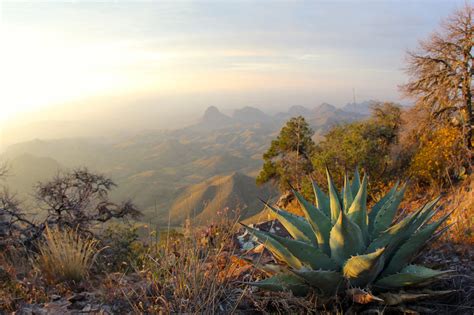 Chisos Mountain Loop Hiking Trail, Big Bend National Park, Texas