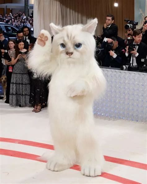 Met Gala 2024 Cat Costume - Ajay Lorrie