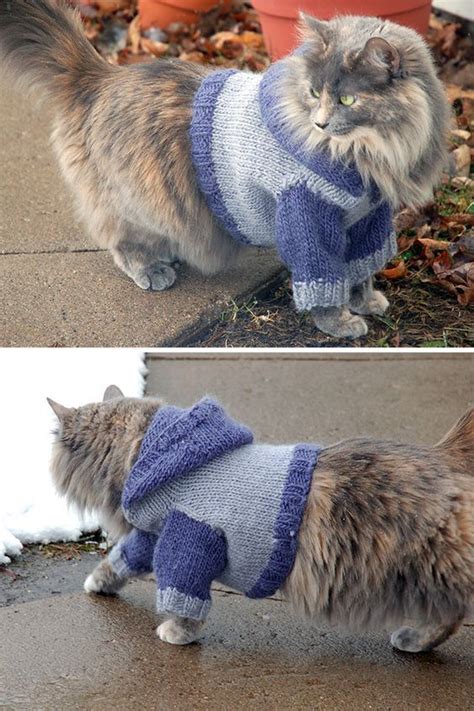 Easy Cat Sweater Knitting Pattern Free Web 49 Free Knit & Crochet Cat ...