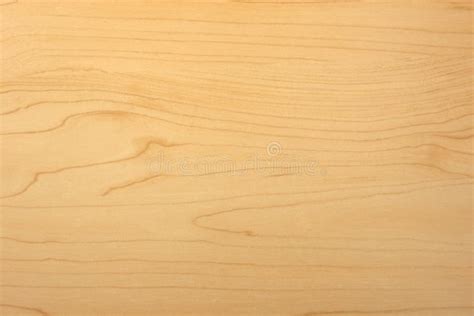 Download 20 + Maple Wood Texture