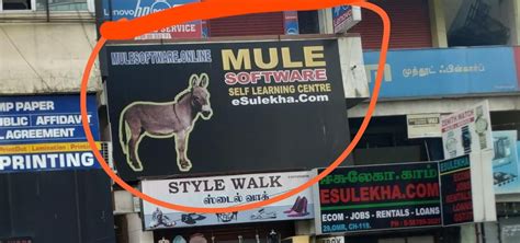 Of all the names, why Mule? : r/ProgrammerHumor