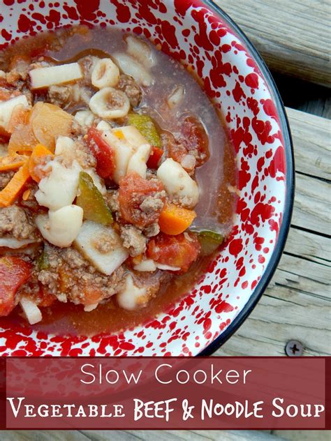 Slow Cooker Vegetable Beef & Noodle Soup | Ally's Sweet & Savory Eats