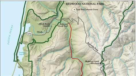 Best Redwood National Park Hike, Trail Map -- National Geographic