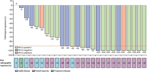 Lung Tumor Size Chart - Best Picture Of Chart Anyimage.Org