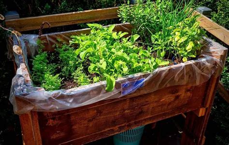 HOW TO BUILD A PLANTER BOX FOR VEGETABLES? – Slick Garden