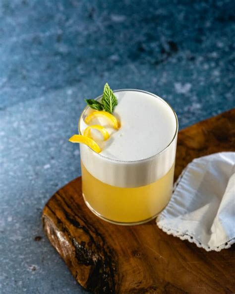 Gin Fizz Cocktail - My Cocktail Studio