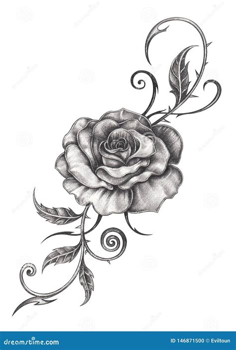 Art Flower Rose Tattoo. stock illustration. Illustration of leaf ...