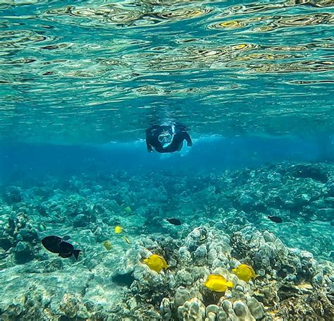 Kona Snorkeling: Explore Hawaiis Underwater Wonders | Paraiso Island