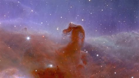 What is the Horsehead Nebula? Know its location and composition - World ...