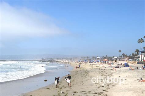 5 BEST Things to Do at Ocean Beach (San Diego) - CityBOP