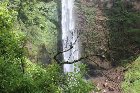 Coban Rondo, Wonderful Waterfall Stock Photo - Image of enjoy, island ...